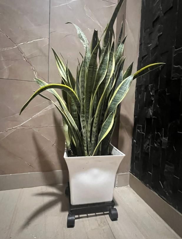 Wheel Pot Stand For Planters